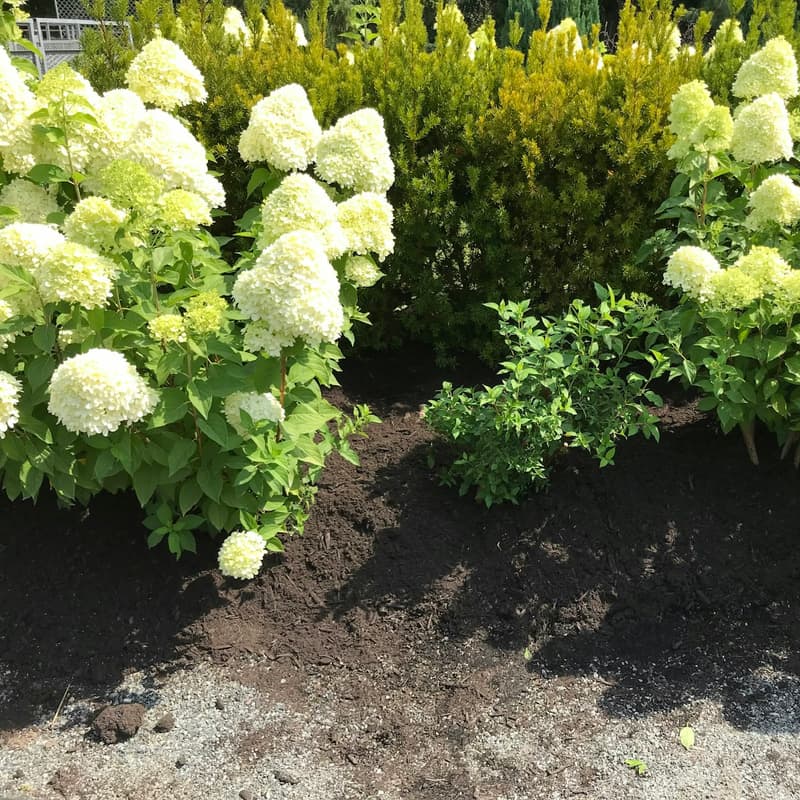 Rootline Landscaping Co. — Rootline Seasonal Maintenance Plan