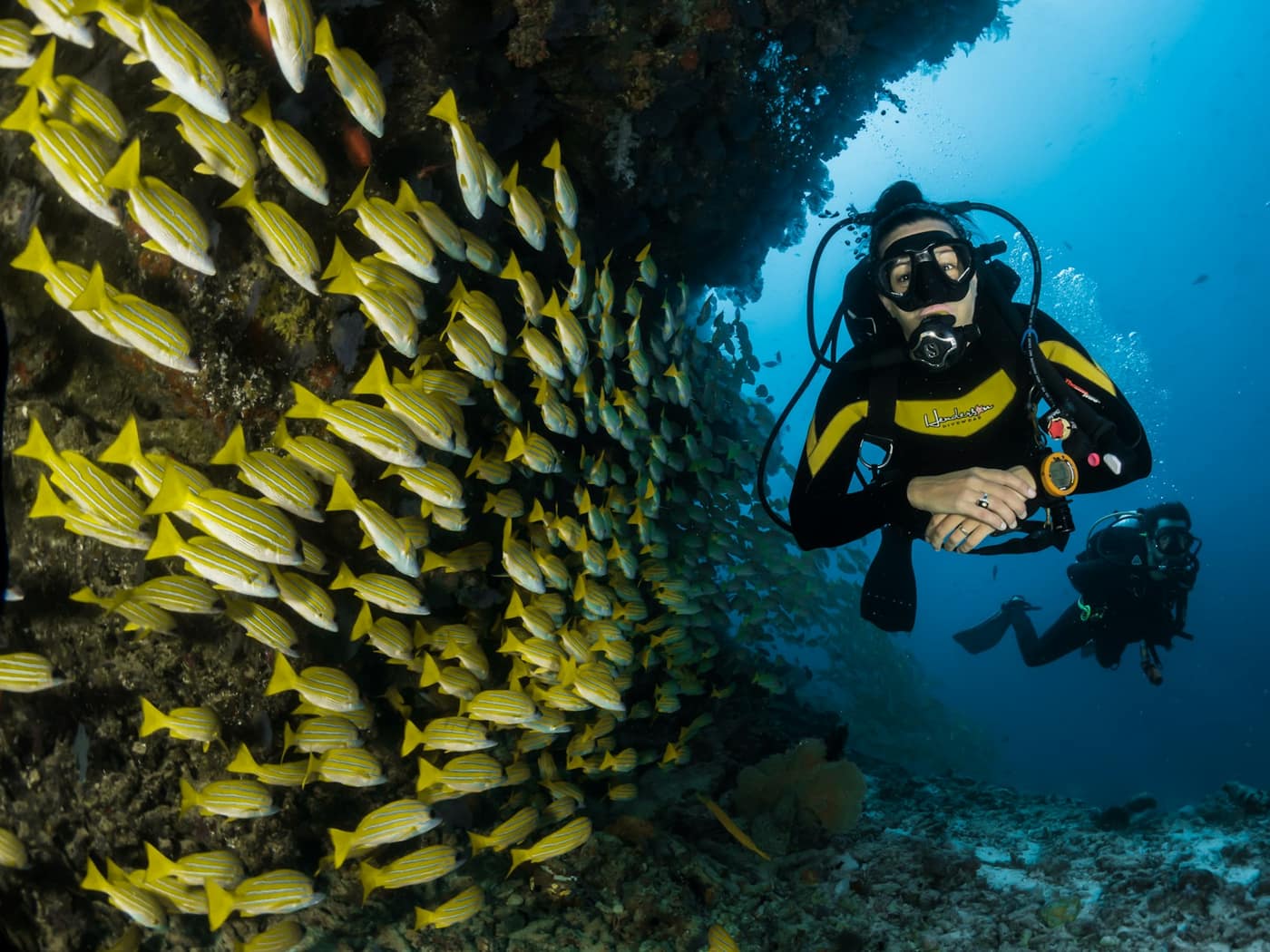 A diver in a yellow-trimmed wetsuit beside a shoal of fish at the mouth of a reef cave